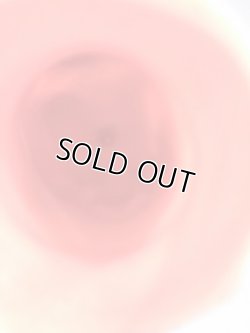 画像8: 移行期　水色　ペギラ