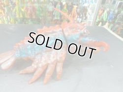 画像3: エビラ　1期